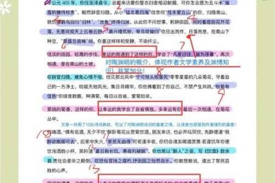 别让选题毁掉你的心血！论文选题依据是什么的科学拆解