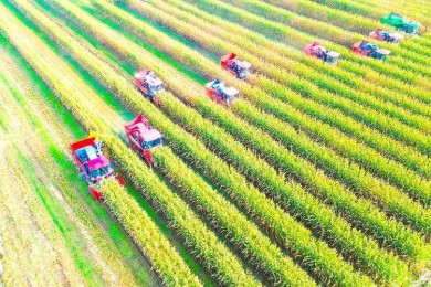 豪江区域经济潜力：绿色发展、产业协同与政策创新