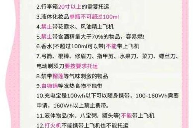 如何飞好空客模拟机论文：从模拟到发表的学术进阶指南