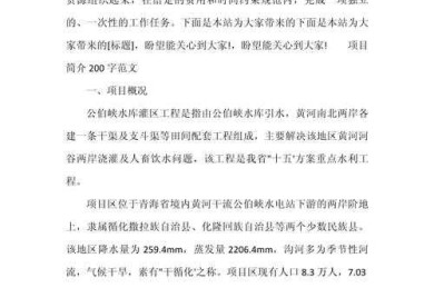 论文项目简介怎么写