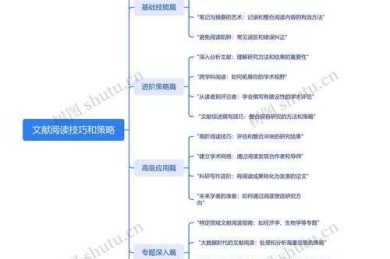 提升议论文写作能力：从理论到实践的阅读策略研究