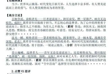 高考议论文如何写好作文：一项基于认知写作理论的研究