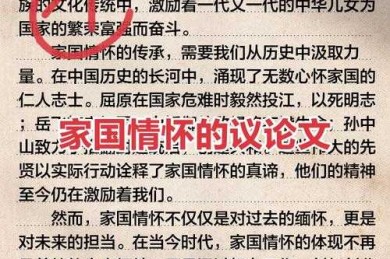 如何为祖国做贡献议论文