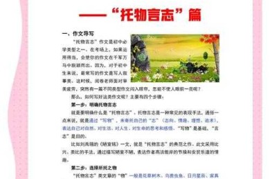 打破常规！如何将日常拖把制作写成一篇惊艳的学术论文