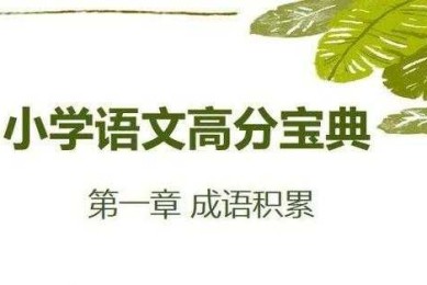 论文写作的基石：论文的参考文献是什么？揭开这个隐藏宝藏！