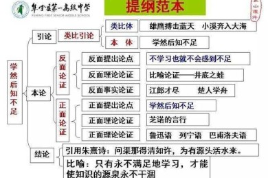 议论文对照式提纲是什么