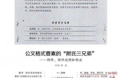 专家分享：论文的附件是什么