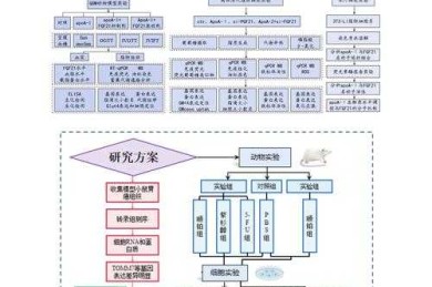 还在为论文结构发愁？这篇“xmind论文框怎么画”终极指南，让你效率翻倍！
