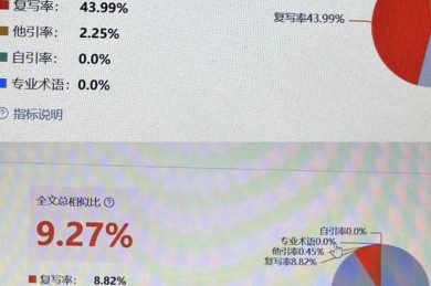 从查重到创新性评估：论文检测的进阶方法论