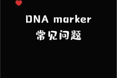 揭开学术写作谜团：论文marker是什么？为什么它能帮你少熬夜