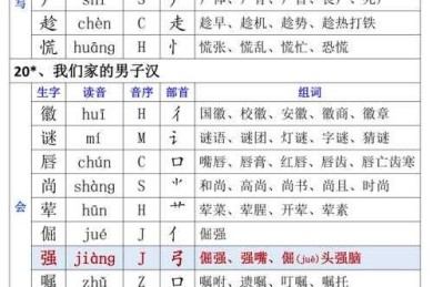 还在为拼音输入发愁？这篇“奥克拼音怎么写论文神器”研究或许能帮你大忙