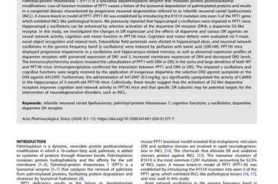 解码Workshop论文：学术交流中的轻骑兵
