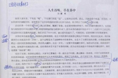 从味觉体验到文化解码：构建专业茶评文章的写作方法论