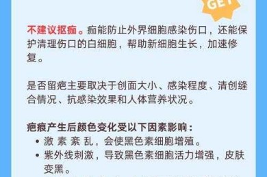 伤口为什么结痂论文