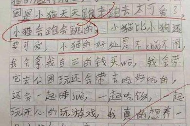 从零到一：宠物和孩子论文怎么写才能既有温度又有深度？