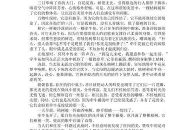 高中如何写好议论文