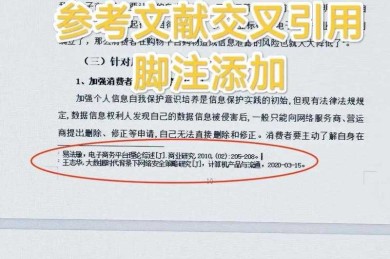 别被导师揪格式！论文脚注怎么加，资深审稿人给你划重点