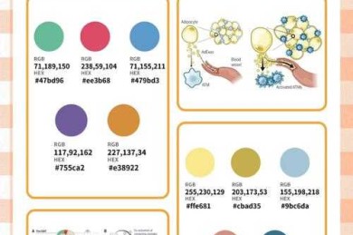 当学术邂逅美学：5步打造专业论文图表的色彩策略