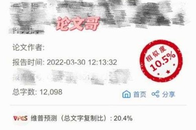 国际论文查重：不只是相似度百分比那么简单