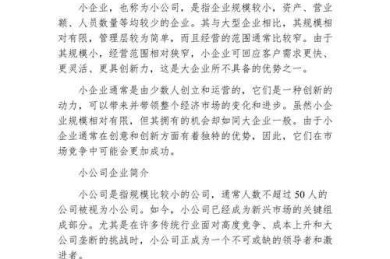 别再头秃了！手把手教你论文里的“小公司简介”怎么写才有学术范儿