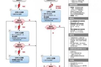 别慌！手把手教你拆解：论文初稿不及格怎么办（附急救工具箱）