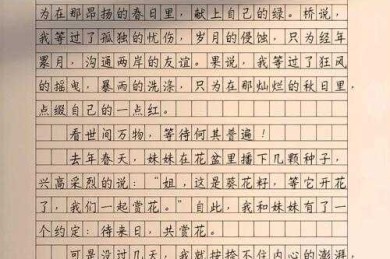 等待的议论文怎么写？我用学术研究方法拆解给你看