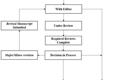 从菜鸟到高手：科研论文流程图怎么画才能让审稿人眼前一亮