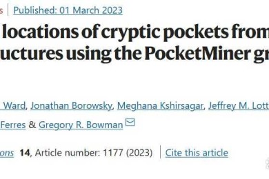 揭秘学术圈潜规则：为什么论文要用微软？这些隐藏优势你可能不知道