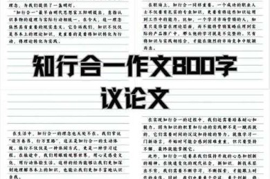 生命如行旅：议论文写作中的隐喻分析与认知建构