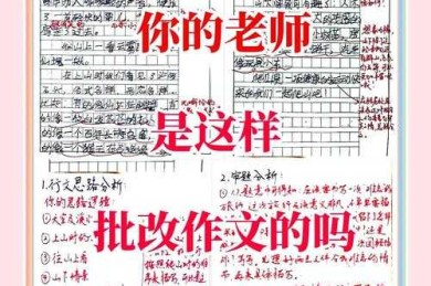 从手忙脚乱到游刃有余：如何回复老师修改论文的学术生存指南