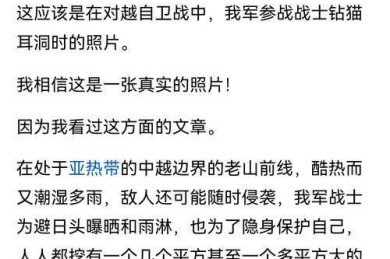 被忽视的和平工具：停止内战发表什么论文才能促进国家重建？
