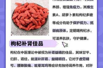 还在为论文发愁？手把手教你搞定“枸杞饮料论文怎么写”这个难题