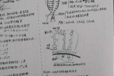 拆解论文“基因图谱”：如何浅析论文提纲的科学与艺术