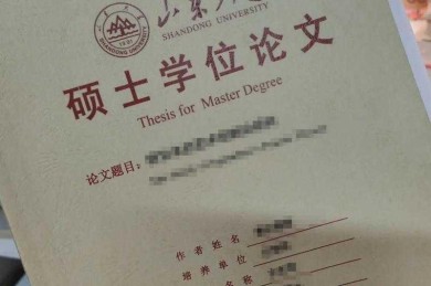 学位论文是什么研究论文