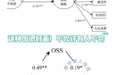 从菜鸟到高手：论文中的模型怎么画才能让审稿人眼前一亮？