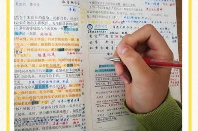 别再头疼了！学术人必看：论文批注怎么找到图片的终极指南