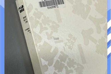 页码编号的艺术：你忽略的学术暗号正在暴露专业性