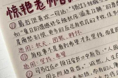 教师毕业论文开头的艺术：从困惑到惊艳的5个关键步骤
