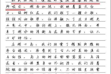 别被游神吓退！手把手教你写出90+分的游神文化论文