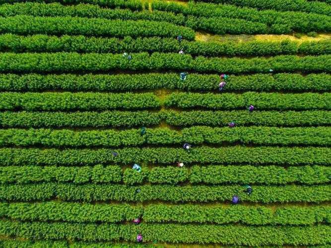 被误解的学术生产力!论文的绿色是什么?你真的懂吗