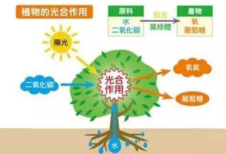 被误解的学术生产力!论文的绿色是什么?你真的懂吗