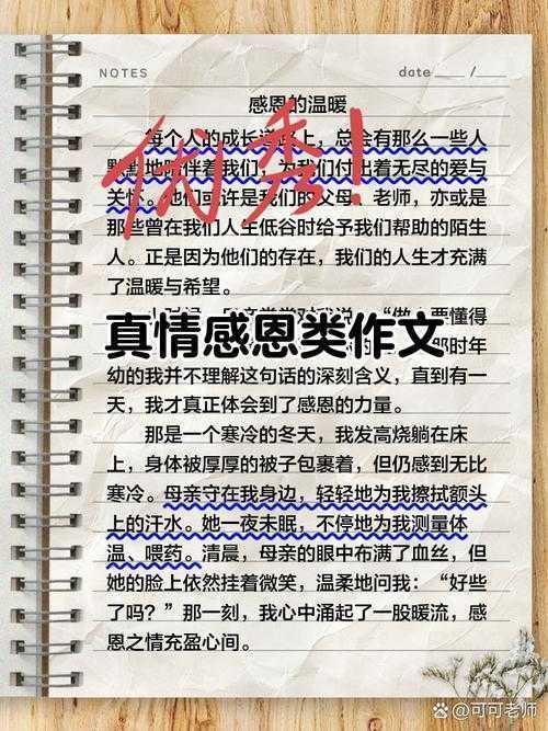 别被套路困住手脚:议论文感恩怎么写才能真情实感打动人心?