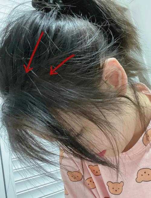 熬夜秃头前必看:论文注意事项是什么才能少走弯路?