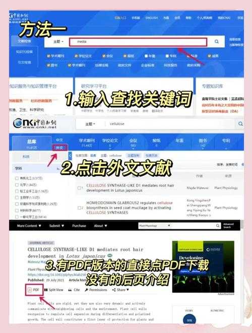 怎么查找英文论文