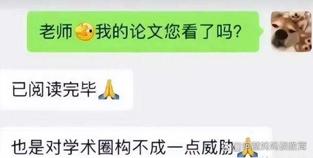 你是不是也在问：写论文什么梗？揭秘学术圈的隐藏文化