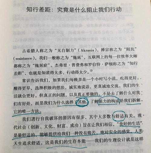 从拖延到放弃：当我们谈论“为什么不写论文”时，我们在谈论什么？