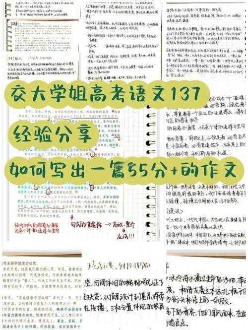 写作秘笈大公开：什么书论文好写？资深学术狗的血泪总结