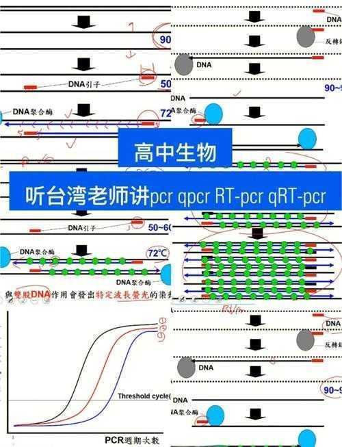 学术探索：论文rrc是什么意思背后的关键秘密（附实操案例）