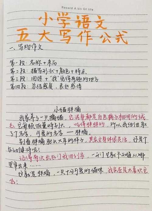 别再迷茫了！论文的中心思想怎么写？揭秘学术写作的成功公式