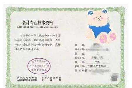 当Deadline逼近时，我发现了“会计什么论文最好写”的黄金攻略